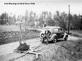 Tree Moving on Park Circa 1939